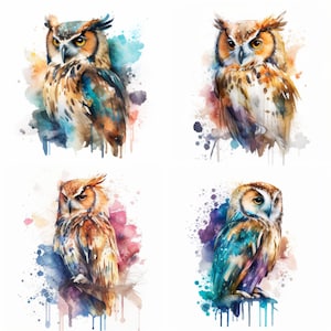 Owl Digital Download High Quality PNG JPG Animal Lover Watercolours Portrait Clipart Sublimation Design Download Owl Wall Art Digital Print