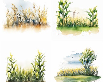 Aquarell Maisfeld, digitale Downloads, Mais Clipart, Feld PNG, Maisfeld Wandkunst, Maisfeld Drucke, Sublimation, Bauernhof, Aquarell Bauernhof