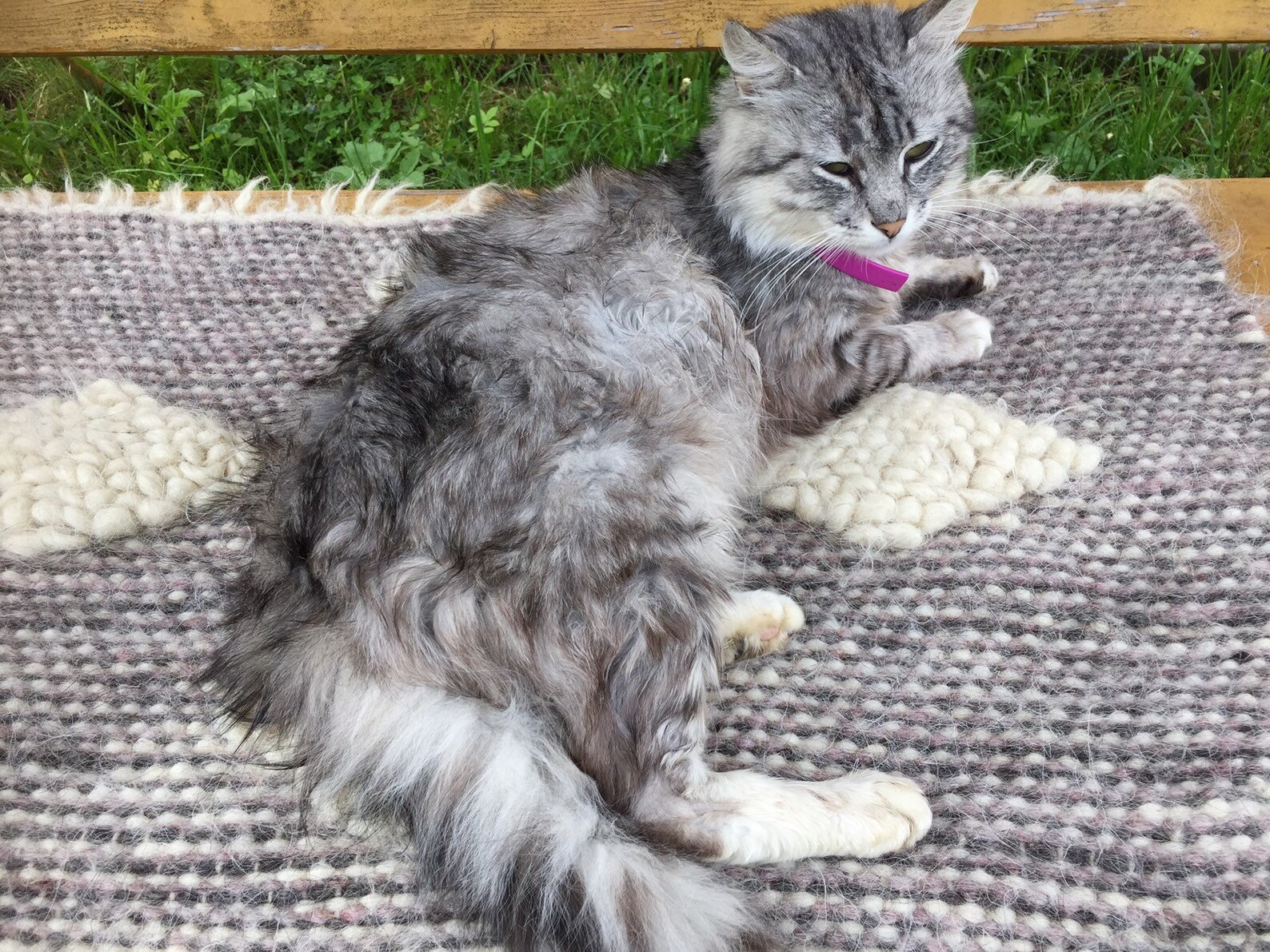 Woven Organic Rug/gray Rag Rug/pet Little Mat/hand Woven Throw - Etsy