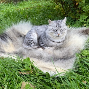 May include: A gray and white cat with its eyes closed, lying on a fluffy white rug in a grassy field.