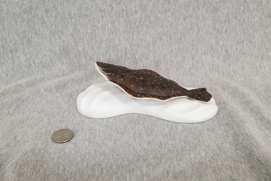 Composite Reproduction 6 Miniature Flounder Sculpture Etsy