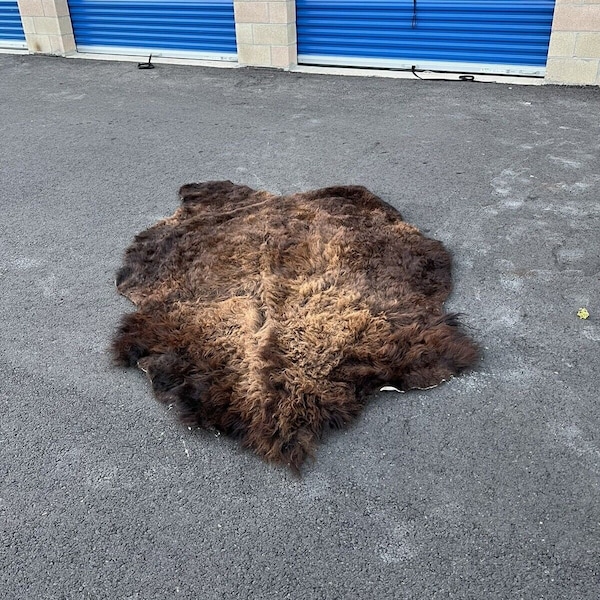 Shop Buffalo Hide Blanket Etsy