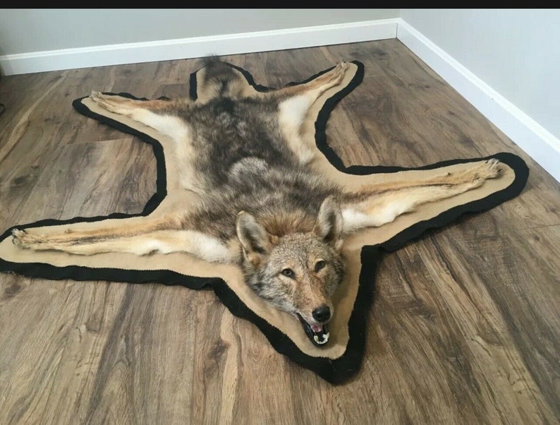 Coyote Rug Wall Hanging Double Felted, How To Make A Coyote Rug