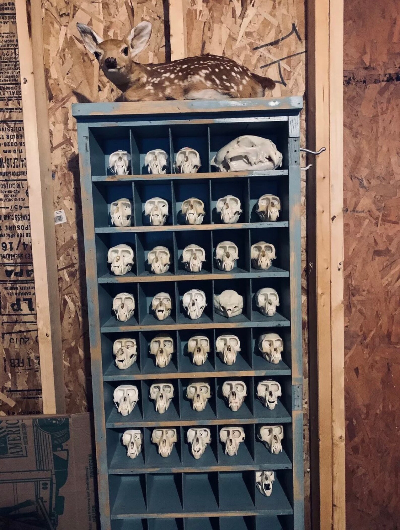 Vintage Official Post Office Mail Sorter Antique 1963 Etsy