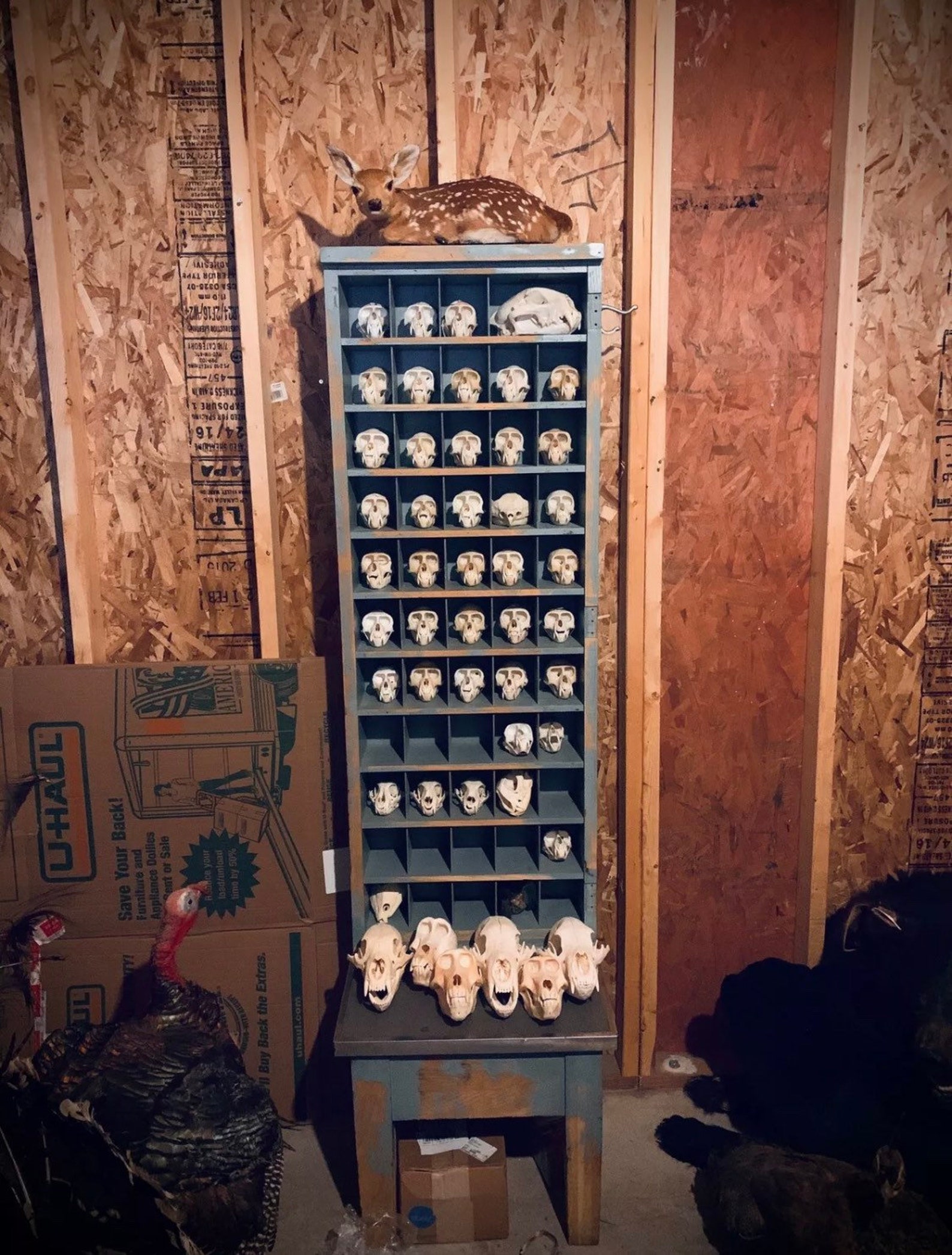 Vintage Official Post Office Mail Sorter Antique 1963 Etsy