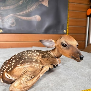 May include: A lifelike fawn figurine with brown fur and white spots, lying on a gray surface. The fawn has detailed features, including dark eyes and a black nose. A yellow measuring tape with inch markings is in the foreground.