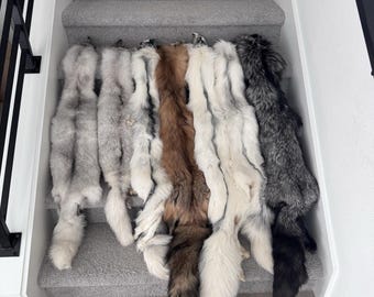 FHJAY793 - Mountable Premium Fox Full Body Hide For Taxidermy