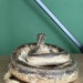 Real Python Taxidermy Mount - Etsy