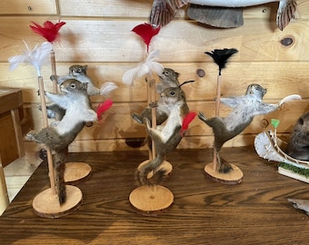 Beautiful Dancing Red Squirrel Small Animal Taxidermy Mount Art Wildlife