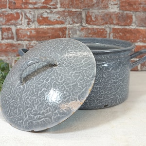 Può includere: Una pentola di smalto grigia con un coperchio. La pentola ha una finitura grigia screziata e due manici. Il coperchio ha una finitura grigia screziata abbinata e un manico.