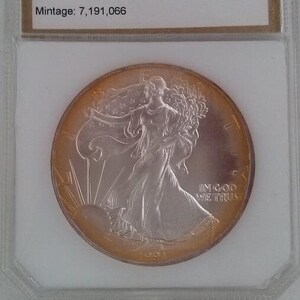 1991 Silber Adler One Dollar Münze MS68 in PCI Halter 1oz Neon Gelb Toning