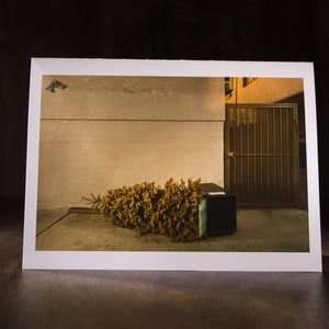 Sad Christmas Tree Folded Greeting Card #58