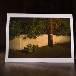 Sad Christmas Tree Folded Greeting Card #48