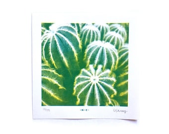 Parodia Magnifica Cacti Half-tone - Limited Edition Risograph Art Print, Cactus, Desert, South West, Wall Hanging