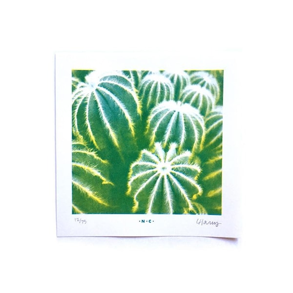 Parodia Magnifica Cacti Half-tone - Limited Edition Risograph Art Print, Cactus, Desert, South West, Wall Hanging