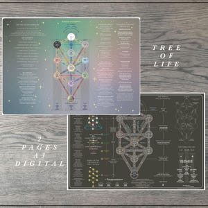 Kabbalah Tree of Life reference chart informational diagrams Tree of Life  education sheet Tree of Life  visual overview aesthetic design