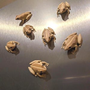 May include: Seven beige frog figurines are arranged on a metallic surface. The frogs vary in size and pose, with detailed textures. The overall aesthetic is naturalistic, suggesting a decorative or collectible theme.