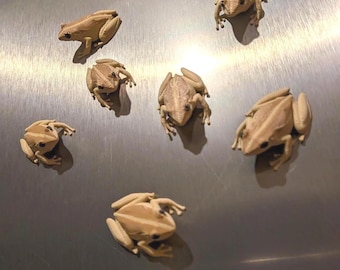 Coquí Magnets - Realistic Puerto Rican Tropical Frog Decor