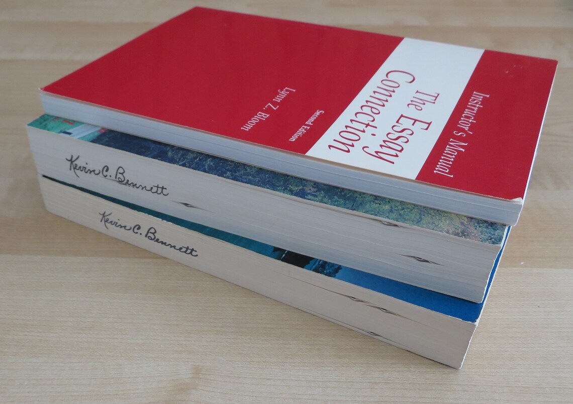 Essay connection bloom 06 image