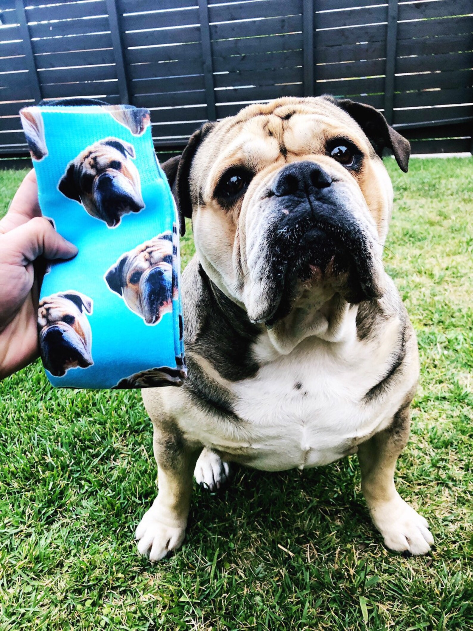 custom socks