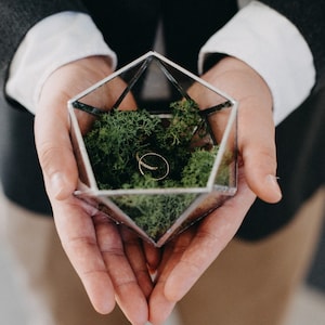 May include: A geometric glass box with a gold ring inside. The box is filled with green moss.