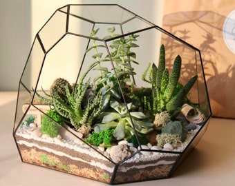 Glass terrarium "Stone" - unique personalized holiday gift. Minimalist decor and Handmade New home gift. Without plants