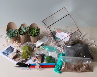 Kit para terrario de suculentas DIY, cubo de vidrio hecho a mano, decoración del hogar