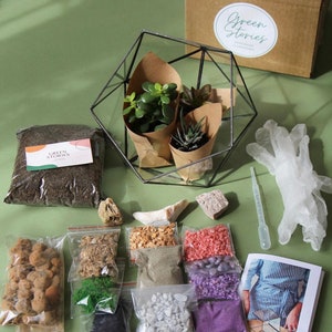 DIY Succulent Terrarium Kit –  Create Your Oasis, Home Decor, Housewarming Gift, Personalized Gift, Green for Living Room, Birthday Present
