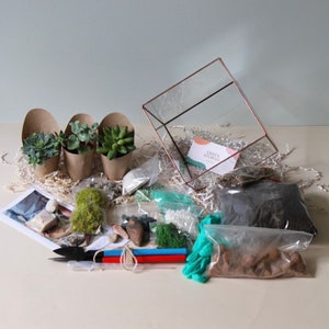 DIY terrarium kit &quot;Cube&quot; with succulents. Christmas gift. New home gift, Living room decor, Gifts for Kids