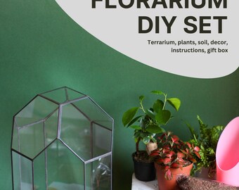 Zestaw do samodzielnego wykonania terrarium bonsai: szklana doniczka, ozdobne kamyki i rośliny