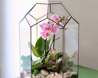 Glasorkidéterrarium – Geometriskt handgjort displayfodral, Modern heminredning, Unik present till orkidéälskare, Utställning för inomhusväxter
