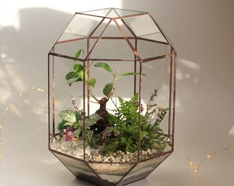 Kit de terrarium DIY avec plantes, décoration de salon, cadeau de nouvelle maison, idée de cadeau de Noël, terrarium succulent, cadeaux uniques, cadeau personnalisé