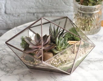 Terrarium en verre « Cristal » – Décoration minimaliste, cadeau d'anniversaire fait main unique, cadeau personnalisé