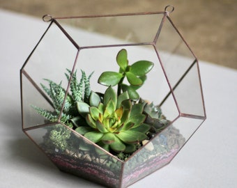 Hanging glass terrarium "dodecahedron" – Home decor, for plant lover. Hanging garden. Terrarium Container. Wall decor