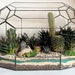 see more listings in the Terrarien für Pflanzen section