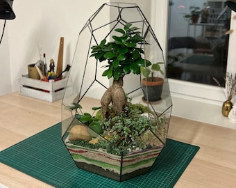 Geometric Glass Terrarium – Handmade Succulent Planter, Modern Home Decor, Copper Frame