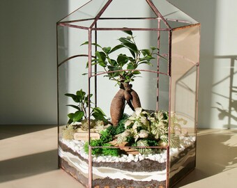 Minimalistiskt inredningsterrarium Florarium "Växthus" – för växtälskare/glasbehållare. Ny hempresent
