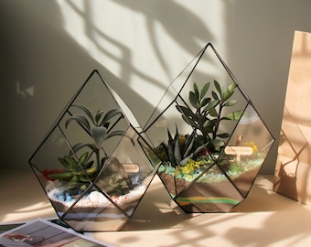 Glas Terrarium "