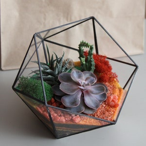 Handmade Geometric Glass Succulent Terrarium – Minimalist Home Decor