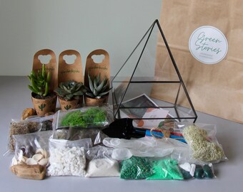 DIY terrarium kit with Succulents/ Birthday gift/ new home gift/ glass container/ Gift Idea/ Living room decor/ Geometric planter