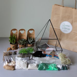 DIY terrarium kit with Succulents/ Birthday gift/ new home gift/ glass container/ Gift Idea/ Living room decor/ Geometric planter