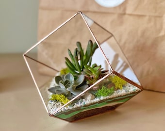 Glass terrarium &quot;Cube&quot; – Home decor, Christmas gift for plant lover, geometric container for plants, Living room decor