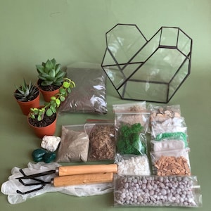 DIY terrarium kit with succulents. Christmas gift. New home gift. Living room decor. Geometric planter. Gifts for Kids. gifts for gardeners