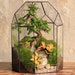 see more listings in the Terrariums for plants section