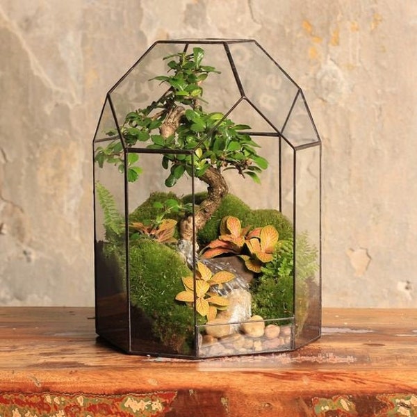 Terrario in vetro "Faro" – Arredamento per soggiorno e ufficio, terrario bonsai, regalo di Natale per gli amanti delle piante, fioriera per la casa. Senza piante