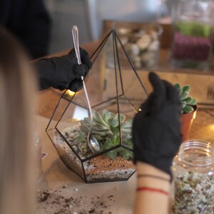 DIY Terrarium Bausatz mit Sukkulenten. Weihnachtsgeschenk Set, Neues Zuhause Geschenk, Wohnzimmer Dekor, Geometrische Pflanze, Geschenke für Kinder Bild 4