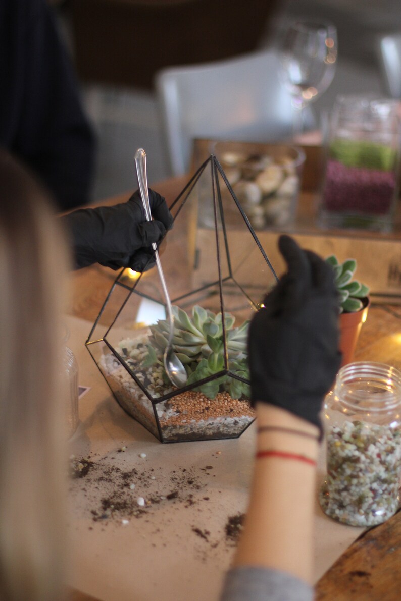 DIY Terrarium Bausatz mit Sukkulenten. Weihnachtsgeschenk Set, Neues Zuhause Geschenk, Wohnzimmer Dekor, Geometrische Pflanze, Geschenke für Kinder Bild 4