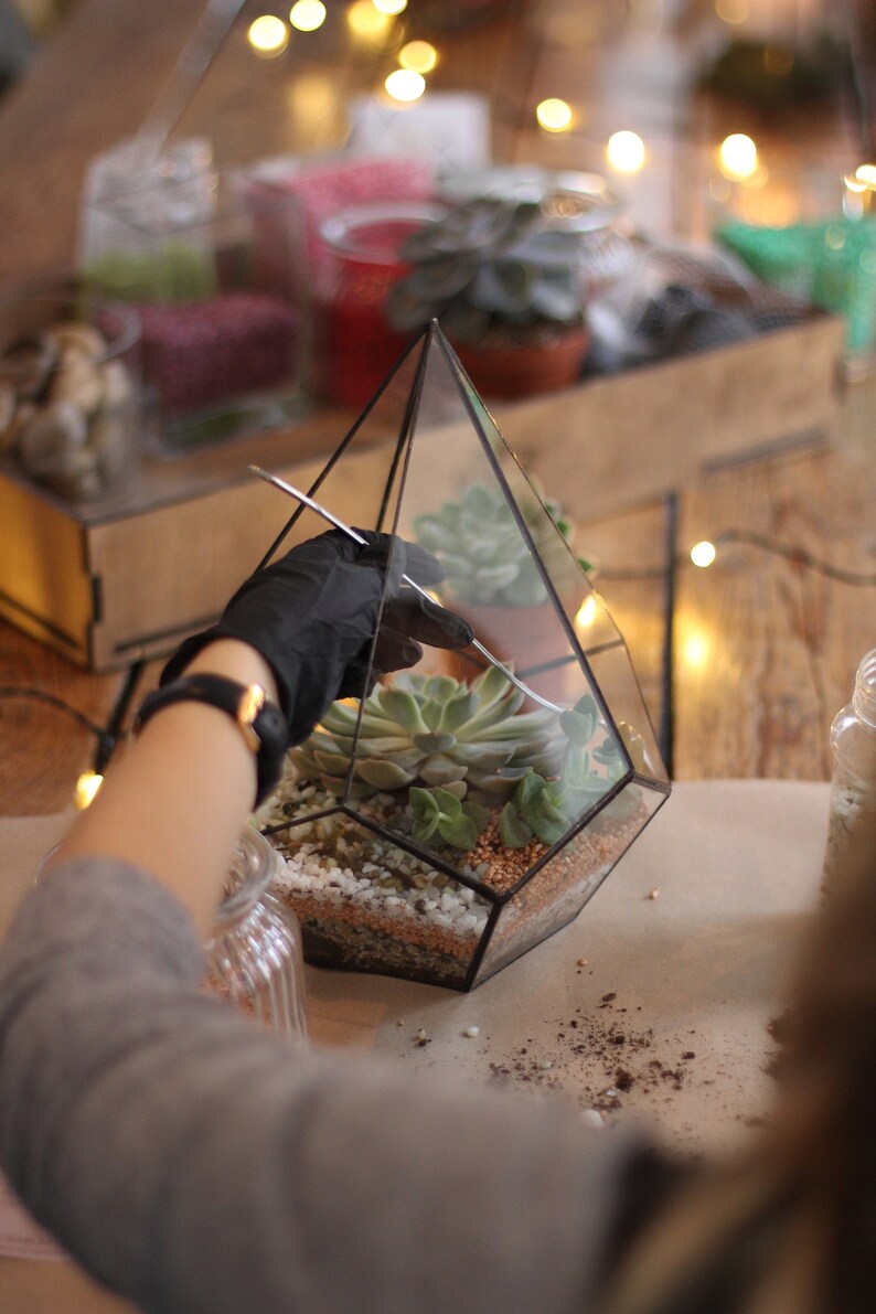 DIY terrarium kit/ gift set / Christmas gift/ new home gift/ Etsy