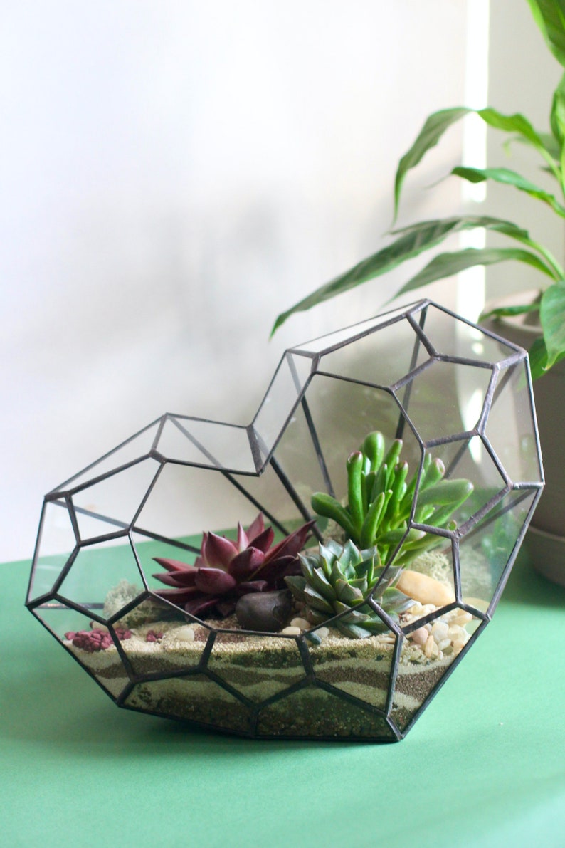 Geometric Glass Terrarium love. Home Decor and Office, for Plant Lover