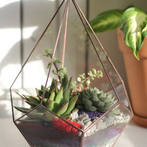 DIY terrarium kit with succulents. Christmas gift set, New home gift, Living room decor, Geometric planter, Gifts for Kids zdjęcie 10